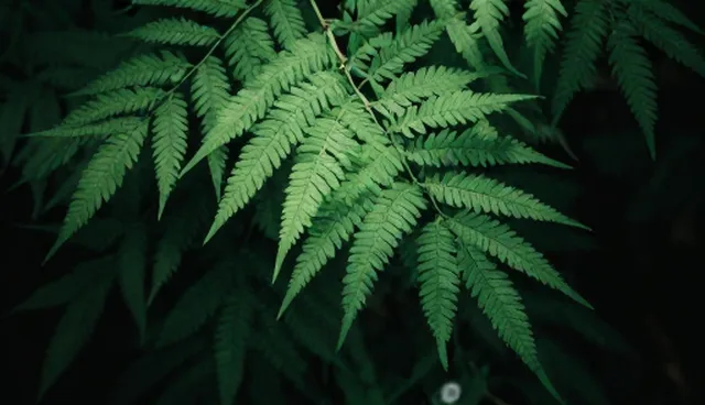 系统集成性能瓶颈及优化策略,提升培训效果
